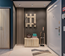 Прихожие, Прихожая Терра (Лофт) СБ-2555