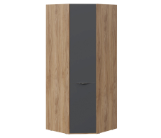 Угловые шкафы, Шкаф угловой для одежды Глосс (стекло графит матовый)