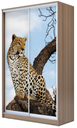 Хит-23-14-77 Шкаф-купе 2-х дверный, фотопечать Леопард (2300х1362х620)