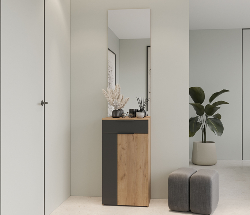 Зеркала в прихожую, Панель с зеркалом Асти